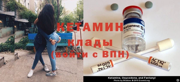 стаф Аркадак
