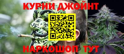 Альфа ПВП Бийск