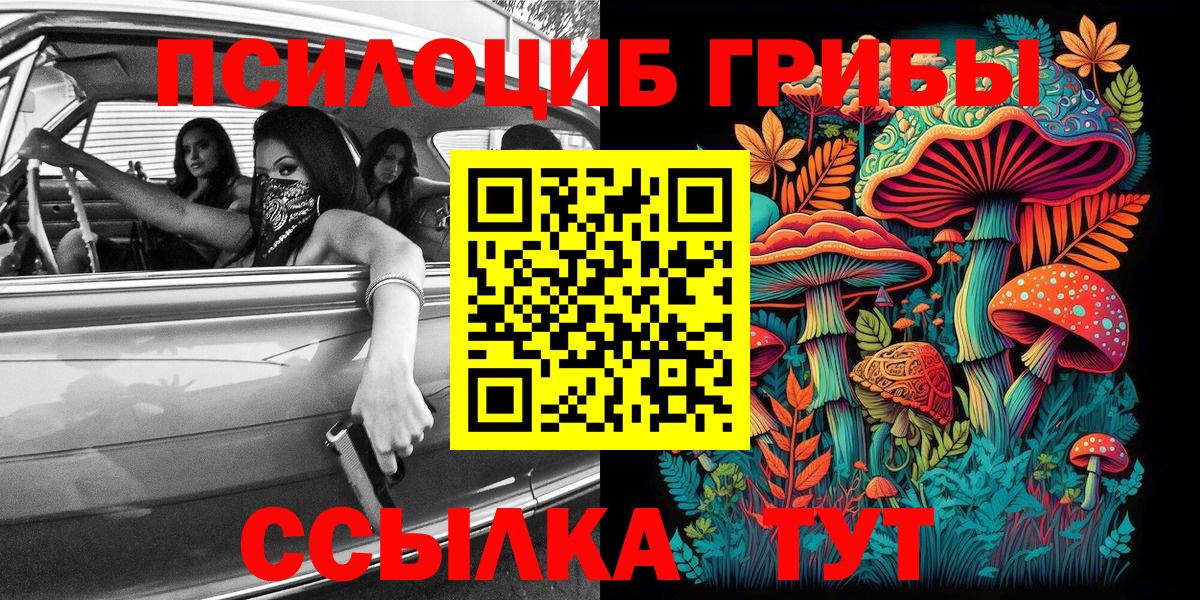 Псилоцибиновые грибы Psilocybe Горячий Ключ