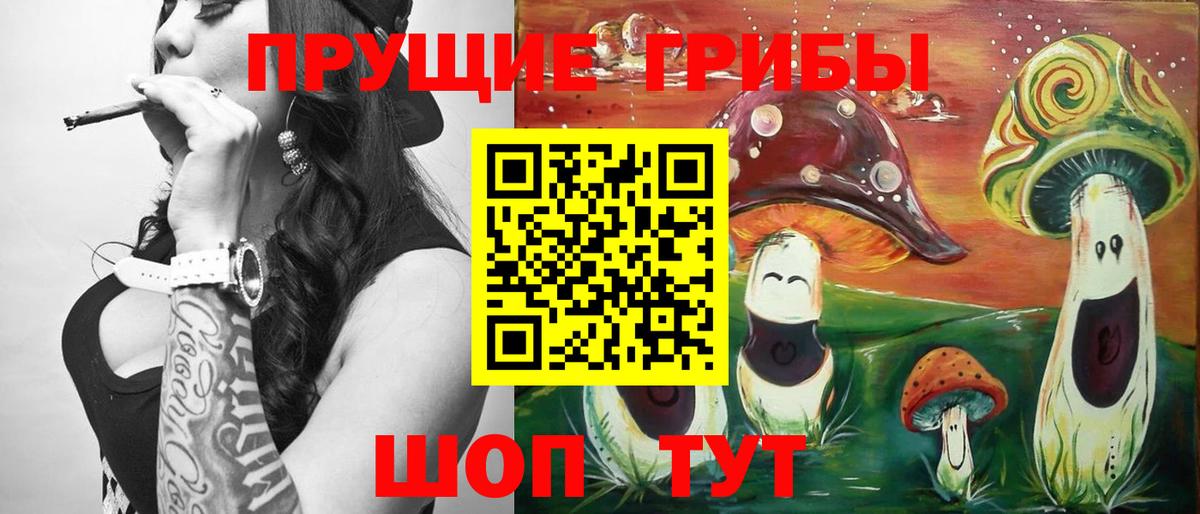Псилоцибиновые грибы Psilocybine cubensis  Галлюциногенные грибы Psilocybine cubensis  Вход с VPN  Горячий Ключ 